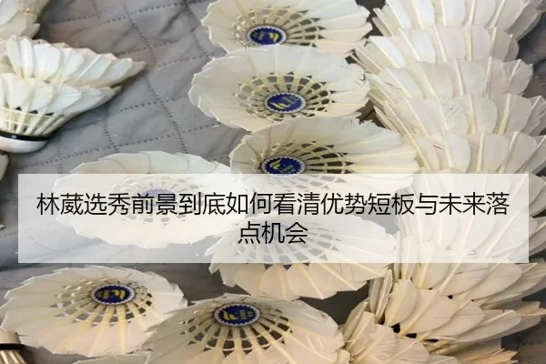 林葳选秀前景到底如何看清优势短板与未来落点机会
